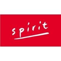 Spirit REIM