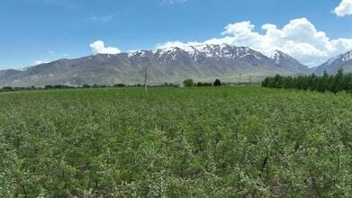 LOISIUM Wine & Spa Hotels