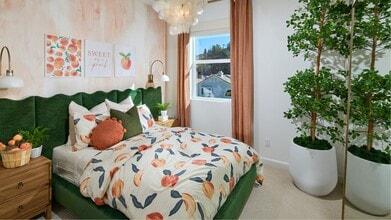 Office of David C Anderson