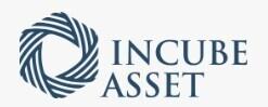 Incube Asset LLC